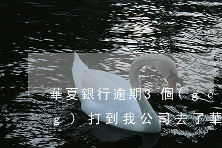 華夏銀行逾期3個(gè)月已經(jīng)打到我公司去了（華夏銀行逾期起訴）
