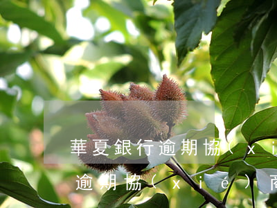 華夏銀行逾期協(xié)商還款(華夏銀行逾期協(xié)商還款只有口頭協(xié)議)