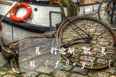 華夏銀行逾期貸款，華夏銀行逾期貸款：警惕信用風(fēng)險(xiǎn)，及時(shí)償還欠款