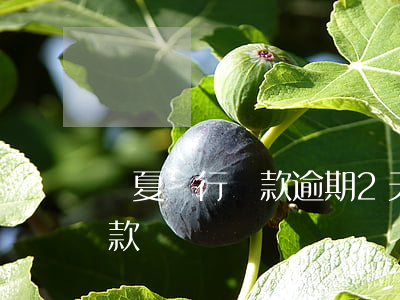 華夏銀行還款逾期2天(華夏銀行延期幾天還款)