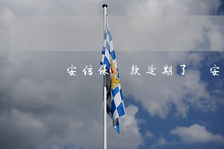 華安信保貸款逾期了(華安信保貸上征信嗎)