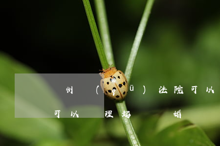 華州區(qū)法院可以起訴離婚嗎(微法院可以辦理起訴離婚嗎)