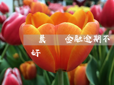 華晨東亞金融逾期不還款(華晨東亞金融好不好)