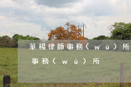 華楊律師事務(wù)所所有律師(楊軍律師事務(wù)所)