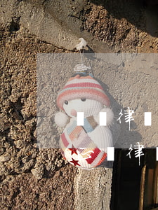 華標律師事務(wù)所官網(wǎng)(正標律師事務(wù)所)