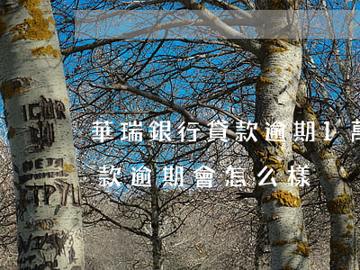 華瑞銀行貸款逾期1萬(攜程上海華瑞銀行貸款逾期會怎么樣)
