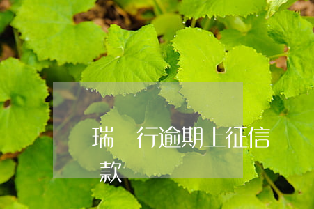 華瑞銀行逾期上征信嗎(華瑞銀行旗下有什么貸款)
