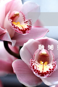 華融湘江銀行信用卡逾期協(xié)商電話-華融湘江銀行信用卡逾期協(xié)商電話是多少