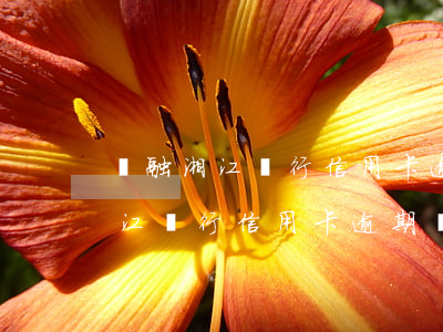 華融湘江銀行信用卡逾期還款后果-華融湘江銀行信用卡逾期還款后果是什么