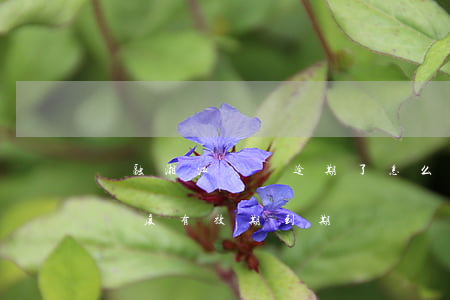 華融湘江閃貸逾期了怎么辦-華融湘江閃貸額度有效期到期