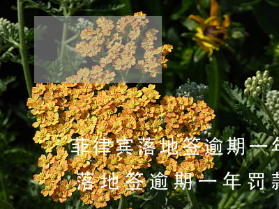 菲律宾落地签逾期一年怎么办免签-菲律宾落地签逾期一年罚款多少钱
