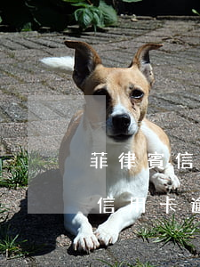 菲律賓信用卡逾期可以申請簽證嗎-菲律賓信用卡逾期可以申請簽證嗎知乎