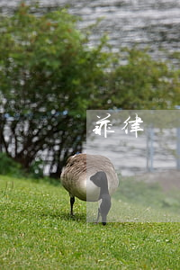 菲律賓簽證逾期罰款金額：全攻略！