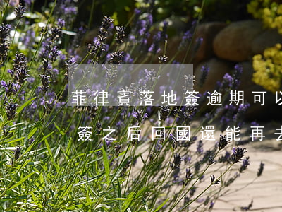 菲律賓落地簽逾期可以回去嗎 去菲律賓落地簽之后回國還能再去嗎?