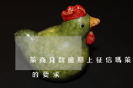 萊商貸款逾期上征信嗎(萊商銀行貸款對征信的要求)
