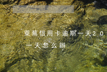 萊蕪信用卡逾期一天(2021年信用卡逾期一天怎么辦)
