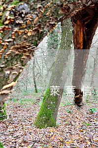萊蕪信用卡逾期律師(信用卡 律師咨詢)