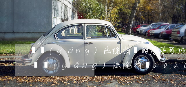 萊陽(yáng)法院拍賣的房子可以買嗎(萊陽(yáng)法院拍賣2020年房產(chǎn)公告)