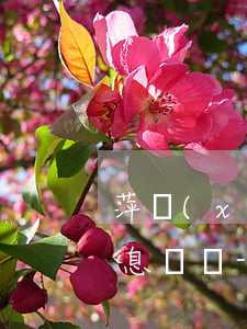 萍鄉(xiāng)信用卡逾期怎么申請停息掛賬-萍鄉(xiāng)信用卡逾期怎么申請停息掛賬的