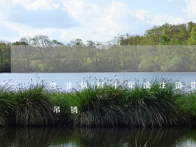 营业执照十年没注销罚多少钱(营业执照几年吊销)
