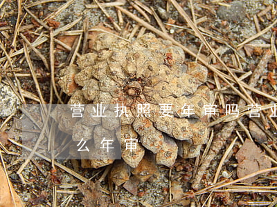 营业执照要年审吗(营业执照要年审吗应该怎么年审)