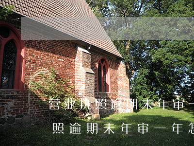 营业执照逾期未年审一年怎么处罚-营业执照逾期未年审一年怎么处罚的