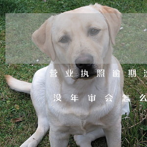 营业执照逾期没年审会怎么样 营业执照逾期没年审会怎么样