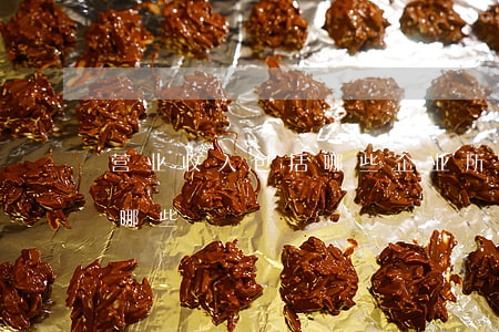 营业收入包括哪些(企业所得税营业收入包括哪些)