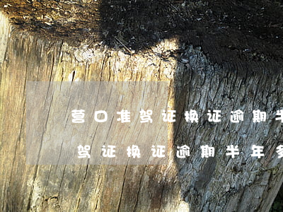 营口准驾证换证逾期半年多怎么办-营口准驾证换证逾期半年多怎么办理
