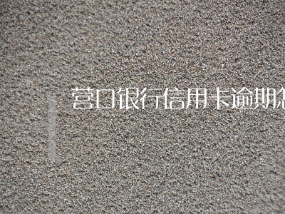 营口银行信用卡逾期怎么办