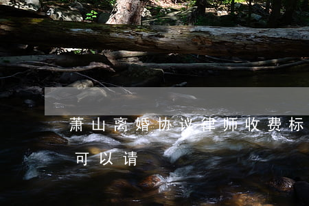 萧山离婚协议律师收费标准(离婚律师多少钱可以请)