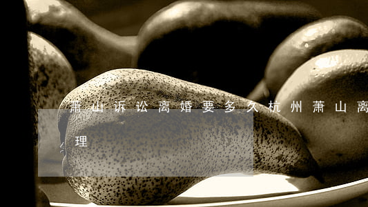 萧山诉讼离婚要多久(杭州萧山离婚在哪里办理)
