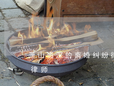 萧山资深的离婚纠纷律师(萧山这边最有名的律师)