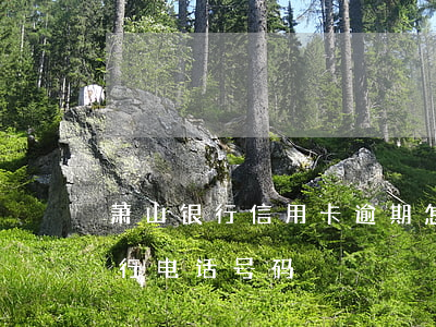 萧山银行信用卡逾期怎么办(杭州银行萧山支行电话号码)