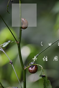 萬(wàn)事達(dá)國(guó)際卡信用卡不還錢(萬(wàn)事達(dá)信用卡怎么還款)