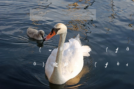 萬(wàn)卡發(fā)短信說(shuō)逾期欠費(fèi)是怎么回事(卡欠費(fèi)了可以收到短信嗎)