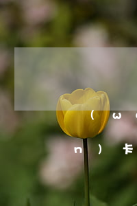 萬(wàn)卡逾期不還為怎么樣（萬(wàn)卡逾期能被起訴不）