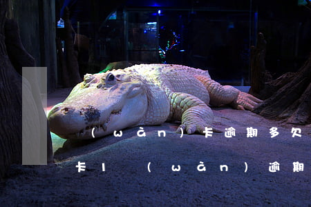 萬(wàn)卡逾期多(欠久富萬(wàn)卡1萬(wàn)逾期一年現(xiàn)在說(shuō)要起訴我是真的嗎)