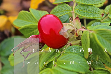 萬(wàn)卡逾期幾天爆通訊錄（收到萬(wàn)卡逾期短信）