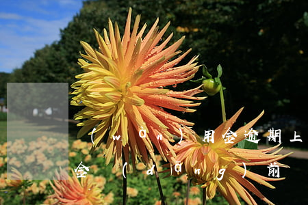 萬(wàn)用金逾期上門(萬(wàn)用金當(dāng)前無(wú)法辦理)