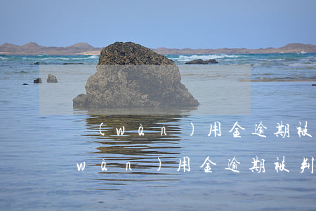 萬(wàn)用金逾期被起訴怎么辦(有萬(wàn)用金逾期被判刑的嗎)
