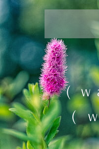 萬(wàn)舟律師事務(wù)所怎么樣(萬(wàn)舟律師事務(wù)所和大森所關(guān)系)