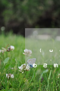 萬(wàn)達(dá)普惠逾期一年不是自己的原因怎么辦（萬(wàn)達(dá)普惠萬(wàn)e貸逾期多久會(huì)起訴）