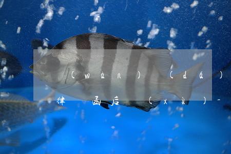 萬(wàn)達(dá)普惠逾期了收到了律師函后續(xù)-萬(wàn)達(dá)普惠逾期了收到了律師函后續(xù)怎么辦