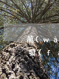 萬(wàn)達(dá)普惠逾期了給家里發(fā)短信了-萬(wàn)達(dá)普惠逾期了給家里發(fā)短信了怎么辦