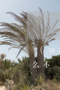 萬(wàn)達(dá)普惠逾期征信為什么不顯示了-萬(wàn)達(dá)普惠逾期征信為什么不顯示了呢