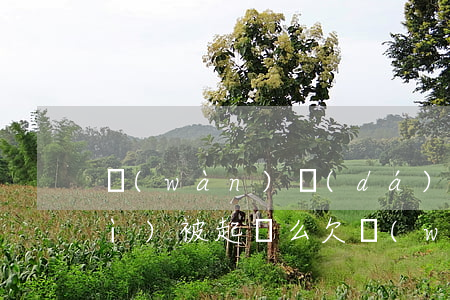萬(wàn)達(dá)普惠逾期會(huì)被起訴么(欠萬(wàn)達(dá)普惠貸五千逾期半年會(huì)被法院起訴嗎)
