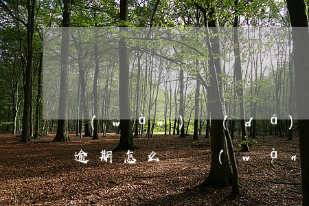 萬(wàn)達(dá)萬(wàn)e貸逾期怎么辦(萬(wàn)e貸逾期不還會(huì)不會(huì)起訴)