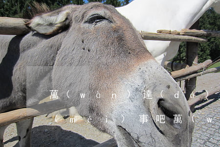 萬(wàn)達(dá)貸分期逾期5天沒(méi)事吧(萬(wàn)達(dá)貸分期逾期5天沒(méi)事吧)