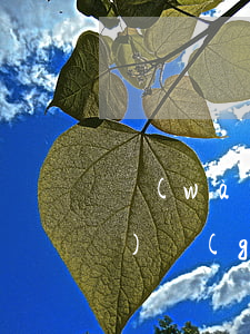 萬(wàn)達(dá)貸循環(huán)關(guān)閉導(dǎo)致逾期(萬(wàn)達(dá)貸會(huì)不會(huì)取消循環(huán))